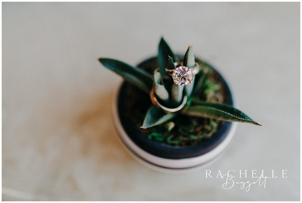 a ring sits on a cactus